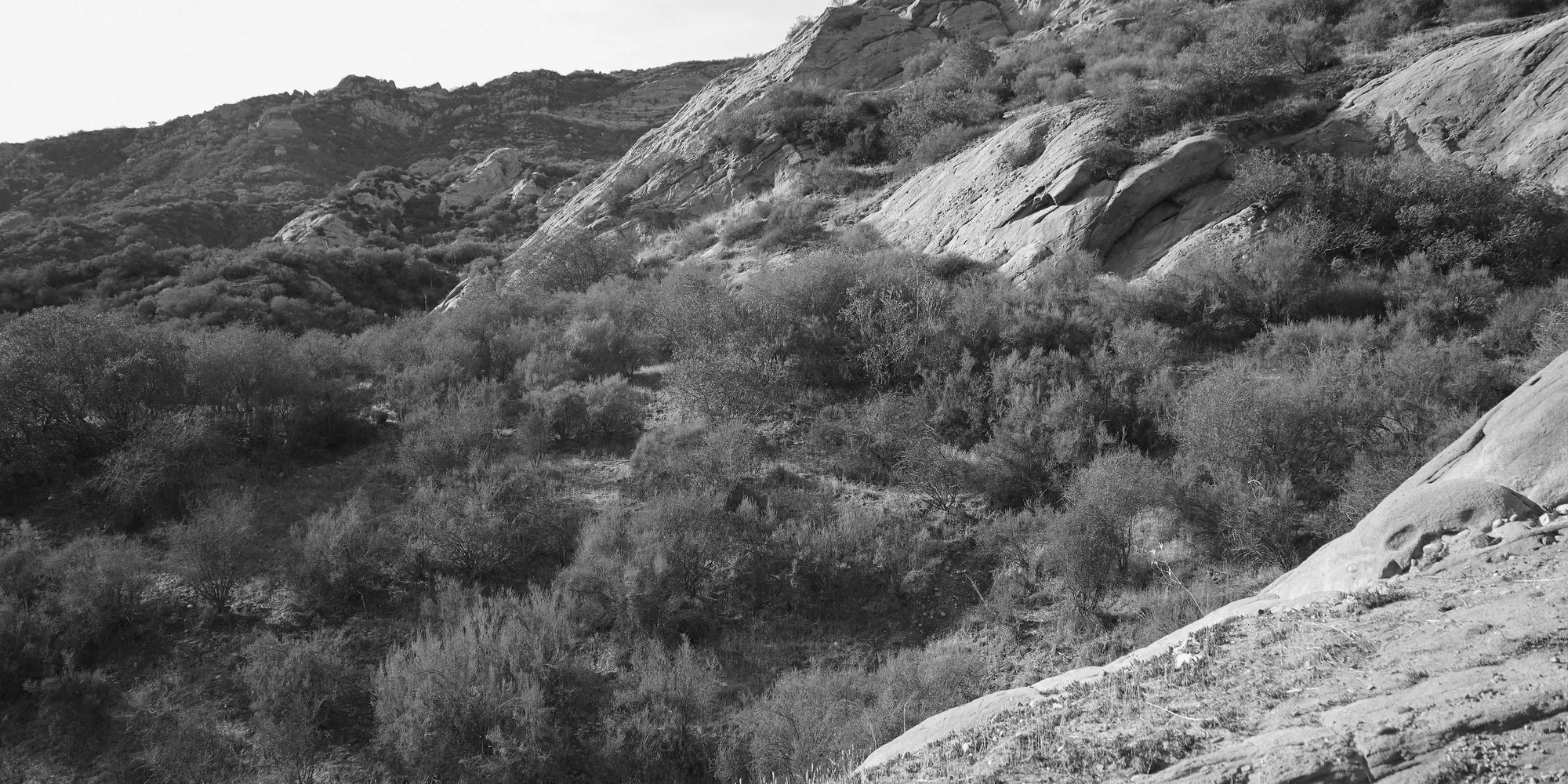 Ridgeline and sandstone under a wide sky